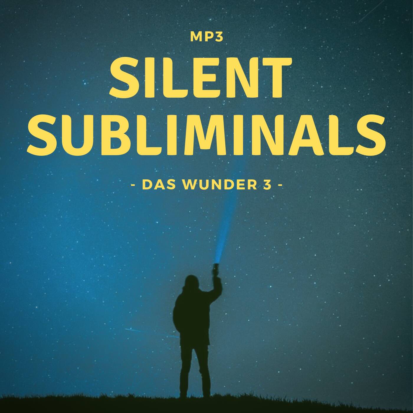 TOP-ANGEBOT! Silent Subliminals: Die WUNDER-Experimenten BOX (3 Pakete)